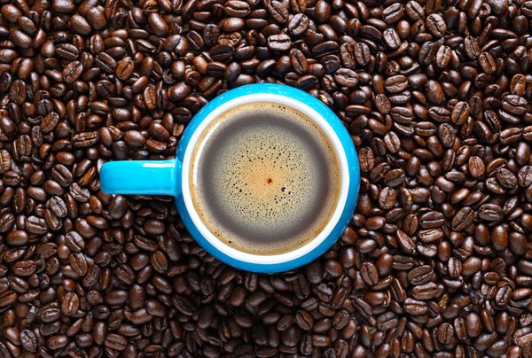 Café cubain : Connaître l'histoire et les caractéristiques du produit