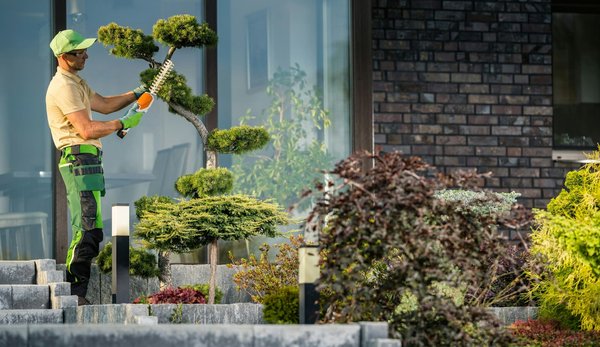 Avant et après : l'impact visuel des photomontages dans les projets d'aménagement paysager